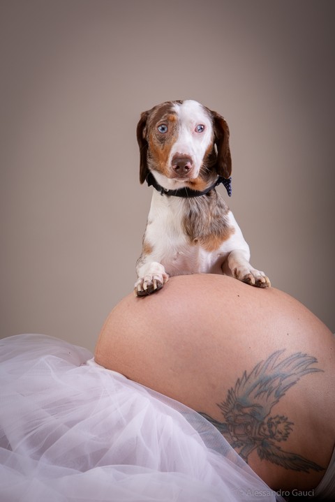 fotografo maternità livorno, fotografo maternità pisa (7).JPG
