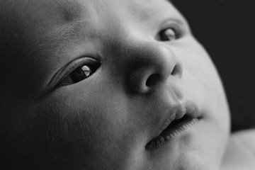 servizio fotografico newborn livorno, servizio fotografico neonato (2).jpg
