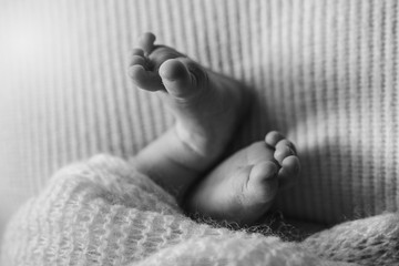 servizio fotografico newborn livorno, servizio fotografico neonato (3).jpg