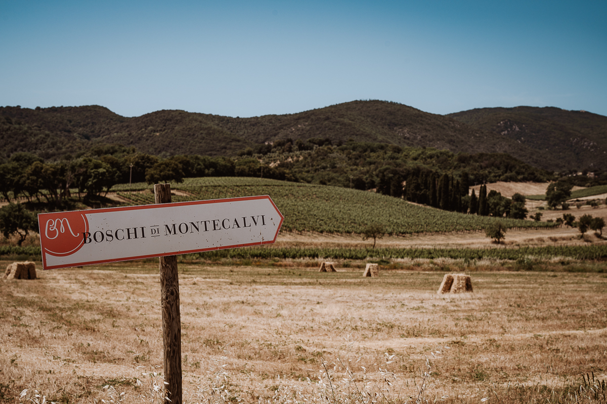 Wedding Boschi di Montecalvi, destination wedding,boschi di montecalvi, wedding tuscany